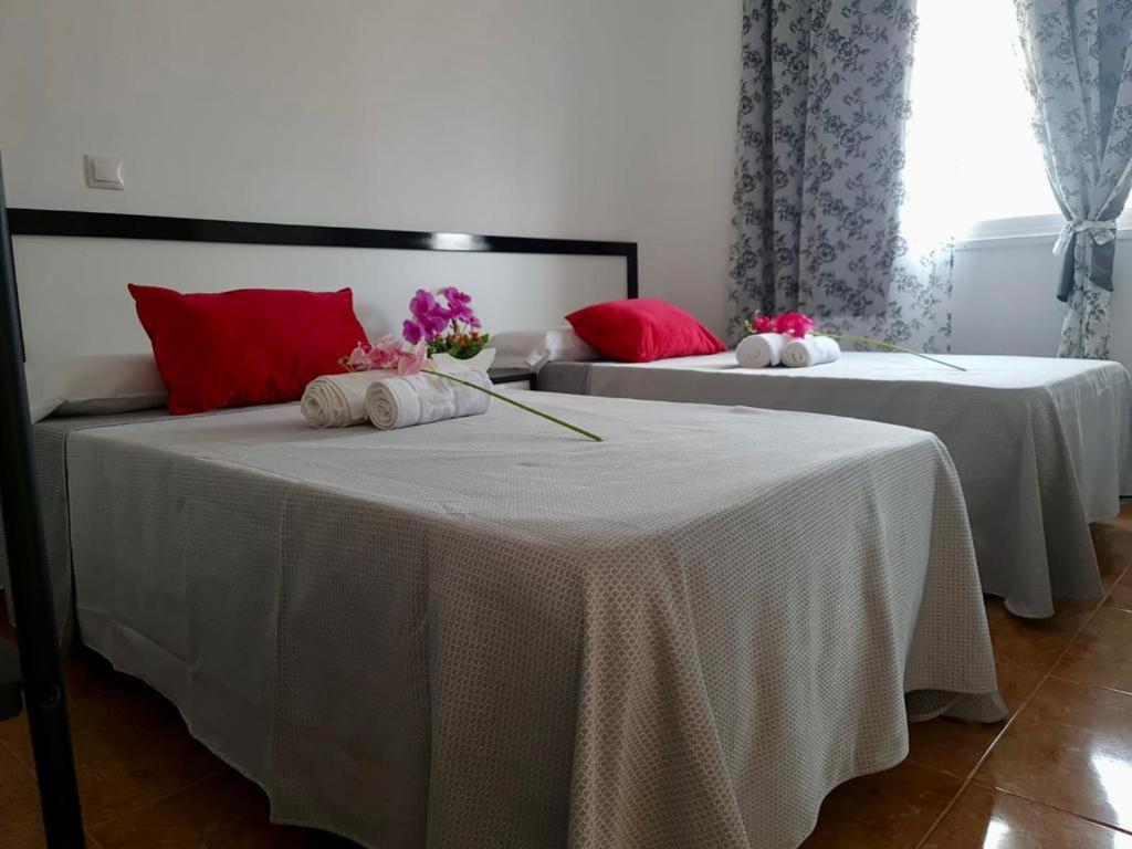 Franmay Apartments - 7 Modern Apartments Near The Beach & City, Perfect For Nomads, Travellers, Families, Watersports! ซังตามาเรีย ภายนอก รูปภาพ